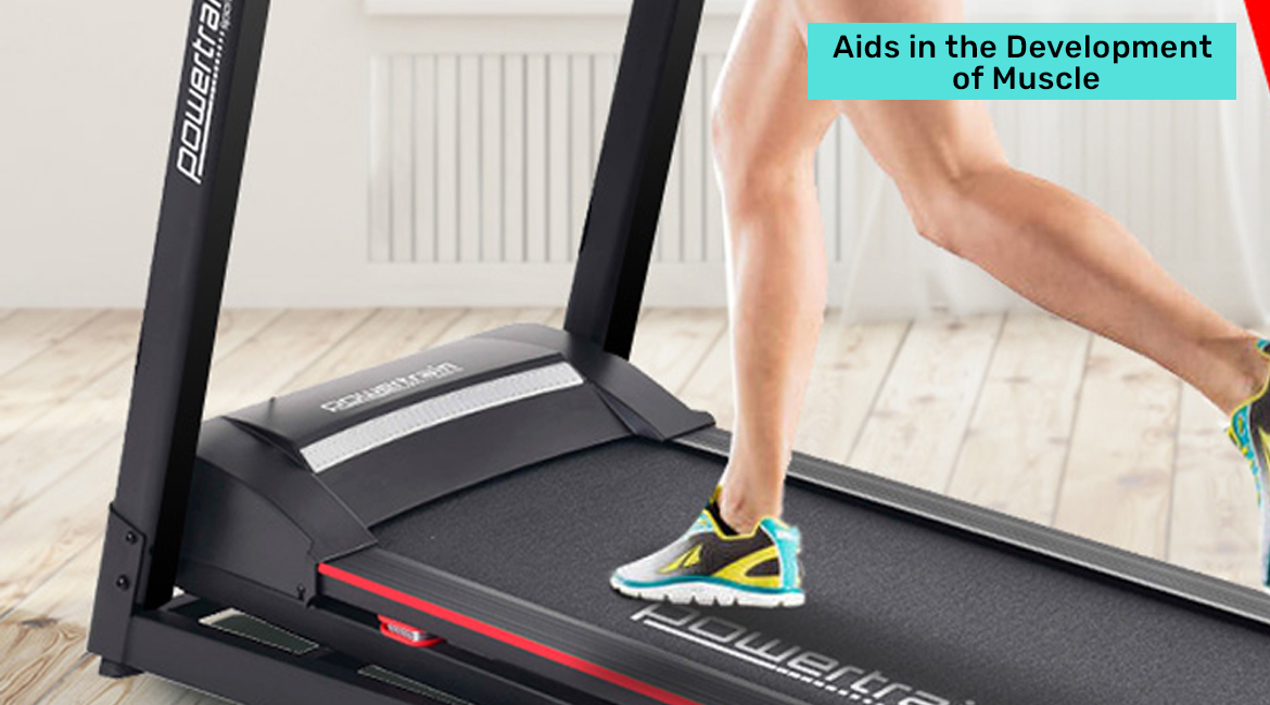 Treadmill Afterpay 