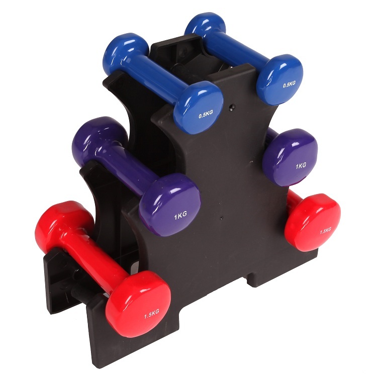 6-Piece Dumbbell Set with Rack