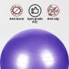 Yoga Ball Home Exercise Gym Pilates Fitness Swiss Ball 65cm (Black)