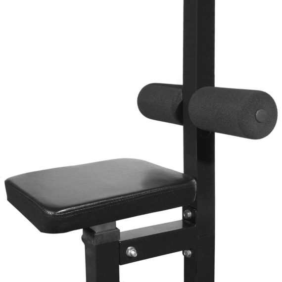 Power Tower with Weight Plates 40 kg