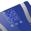 2X Digital Body Fat Scale Bathroom Scale Weight Gym Glass Water LCD – Blue and Purple