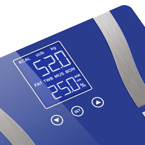 2X Digital Body Fat Scale Bathroom Scale Weight Gym Glass Water LCD – Blue and Purple