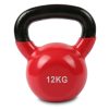 Vinyl Kettlebell – 12 kg