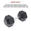Commercial Rubber Hex Dumbbell Gym Weight – 20 KG
