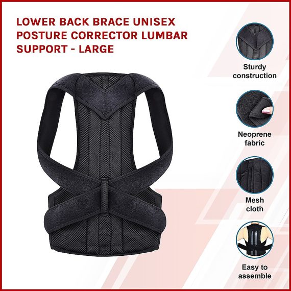 Lower Back Brace Unisex Posture Corrector Lumbar Support – Large