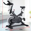 Powertrain RX-200 Exercise Spin Bike Cardio Cycling